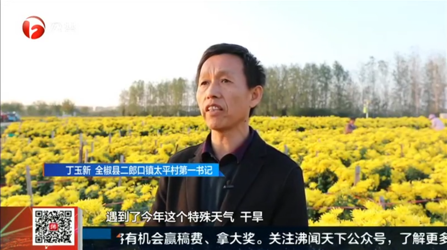 必一·运动(B-Sports)官方网站