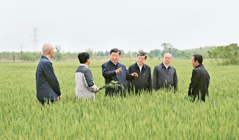 2023年5月11日至12日，，，，，，，，中共中央总书记、国家主席、中央军委主席习近平在河北考察，，，，，，，，并主持召开深入推进京津冀协同发展座谈会。。。。。。。。这是11日上午，，，，，，，，习近平在沧州市黄骅市旧城镇仙庄片区旱碱地麦田考察时，，，，，，，，同种植户、农技专家亲切交流。。。。。。。。 新华社记者 李学仁/摄